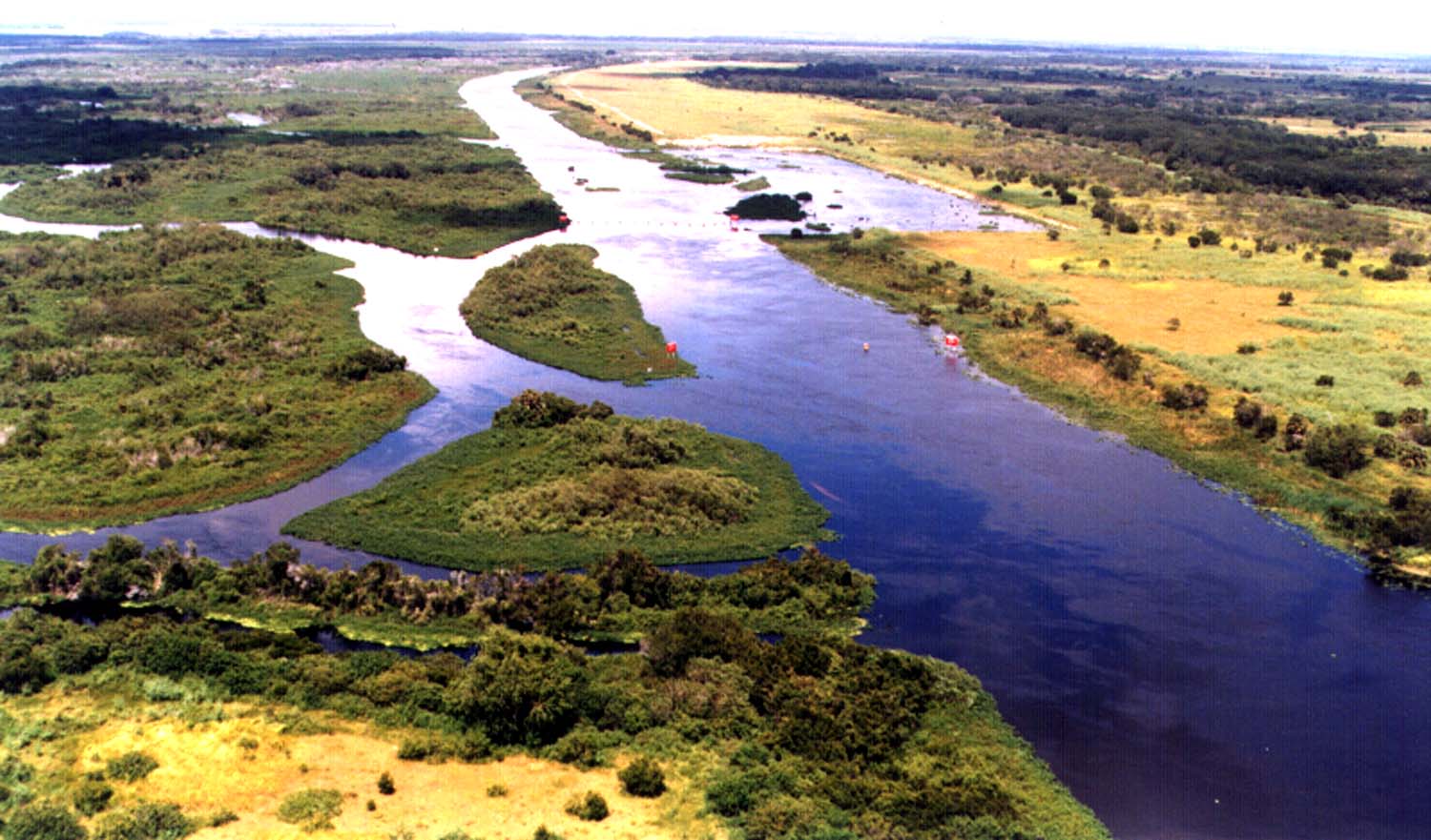 Kissimmee River canal section