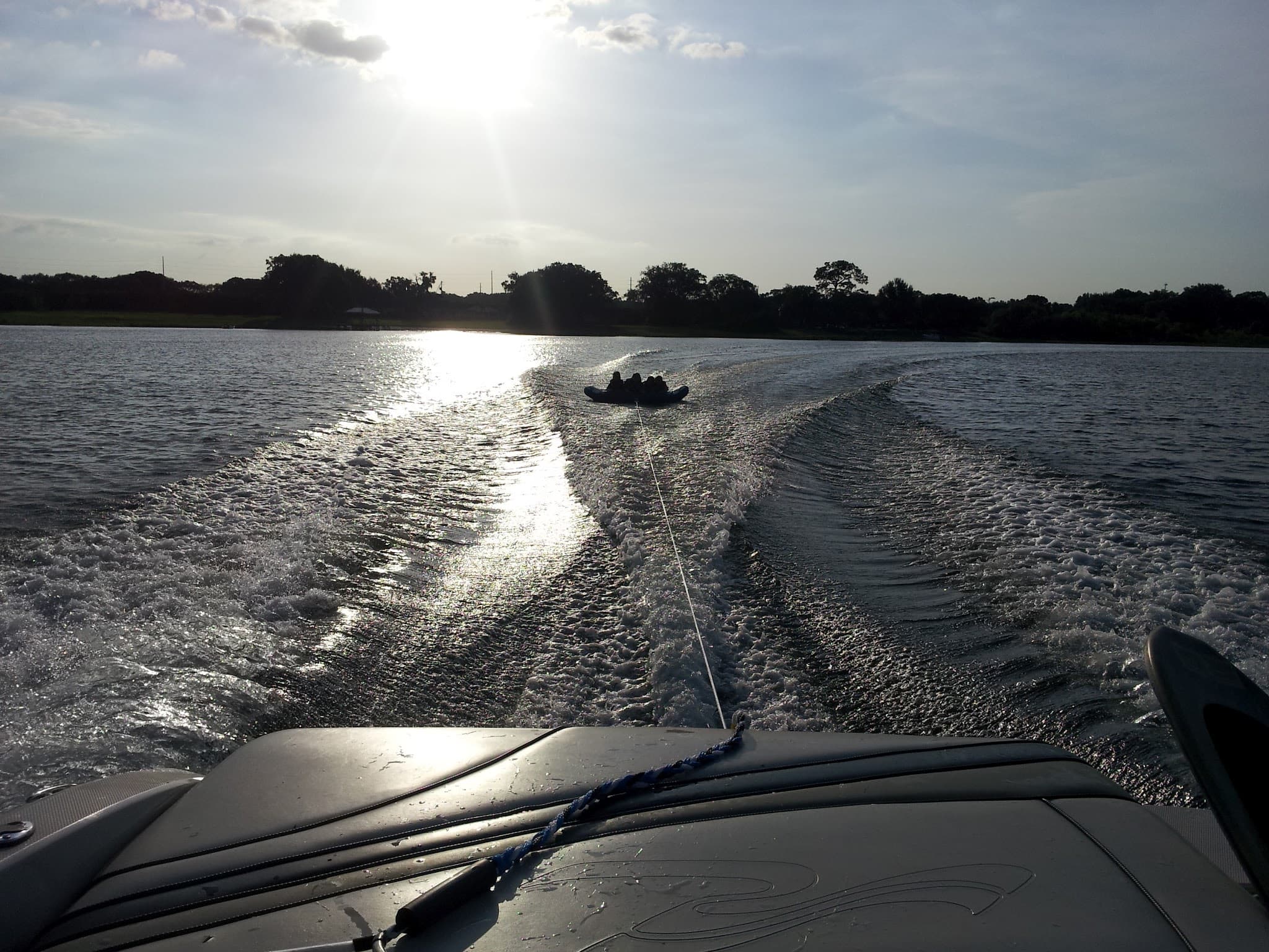 What Lighter Log Lane Remembers: The Lost Longleaf Pines of Lake Arietta