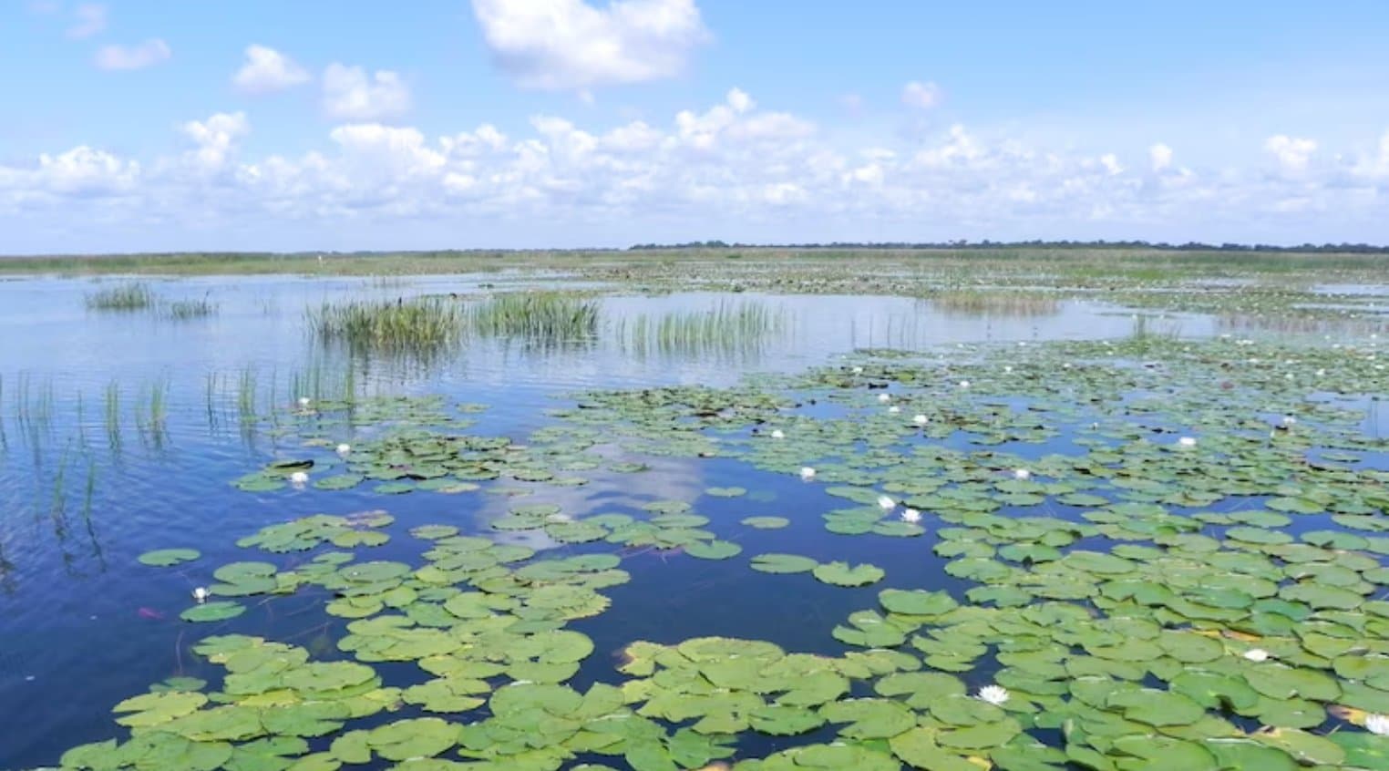 East Lake Tohopekaliga, St. Cloud: The Lake That Grew Florida's First Sugar Mill