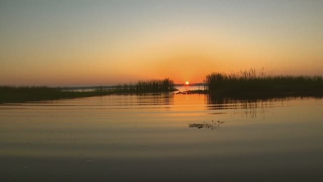 Lake Hatchineha, Kenansville: The Big Lake You Could Almost Walk Across
