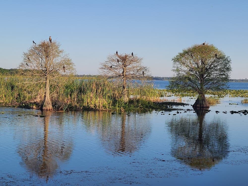 Lake Parker, Lakeland: The Comeback in the Shadow of the Power Plant
