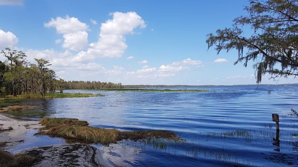Lake Louisa, Clermont: The Mustang on the Bottom