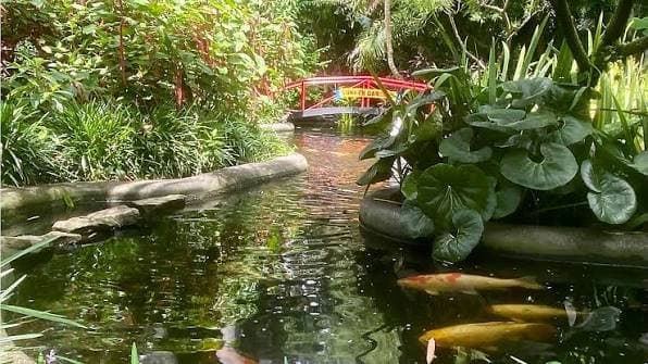 Lake Idylwild, Winter Haven: The Garden Attraction Time Forgot