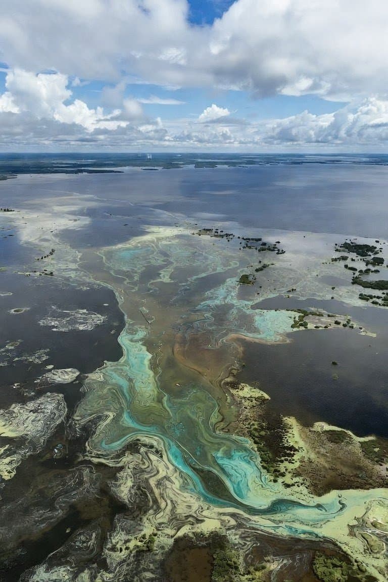 FDEP Issues Algae Warning for Lake Okeechobee; Apopka Restoration Passes 10,000 Acres