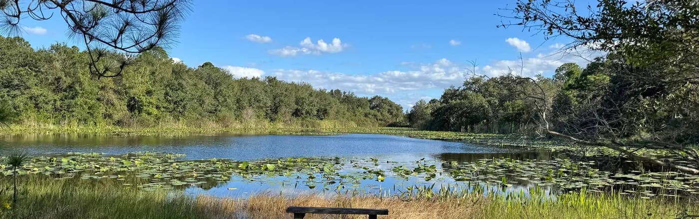 A quiet lily-covered lake in Frostproof