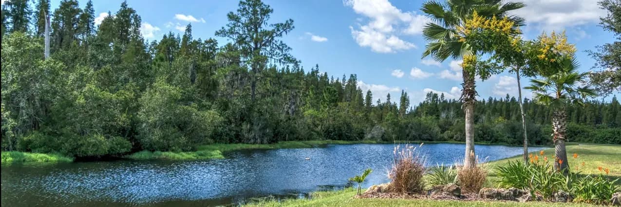 A spring-fed lake with sabal palms and natural shoreline near Fort Meade, FL