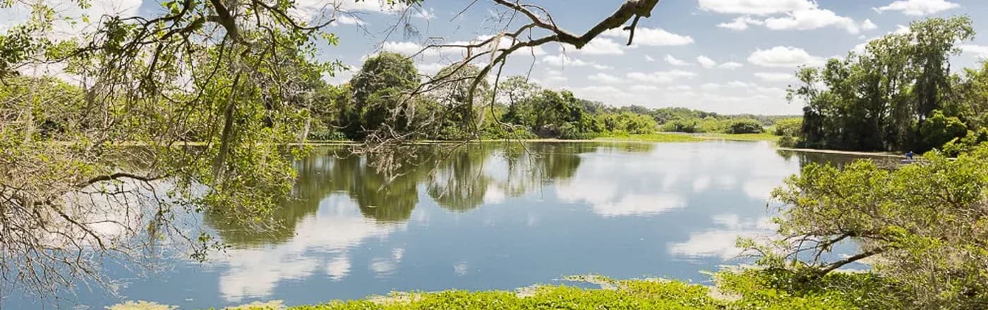 A quiet lake framed by live oaks near Plant City