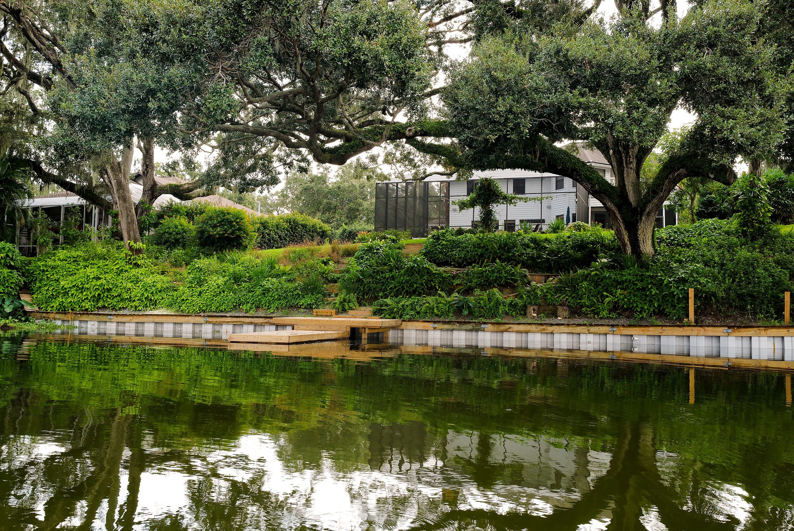 Finished vinyl seawall with landscaped shoreline on a Central Florida lake, built by Horizon Marine