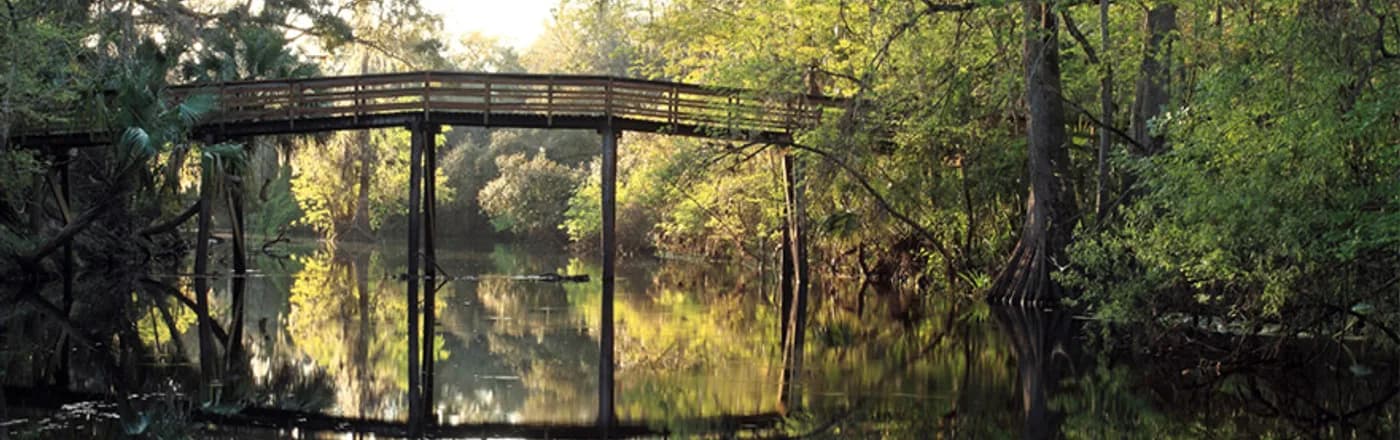 A wooden footbridge over the creek at Zephyr Park in Zephyrhills