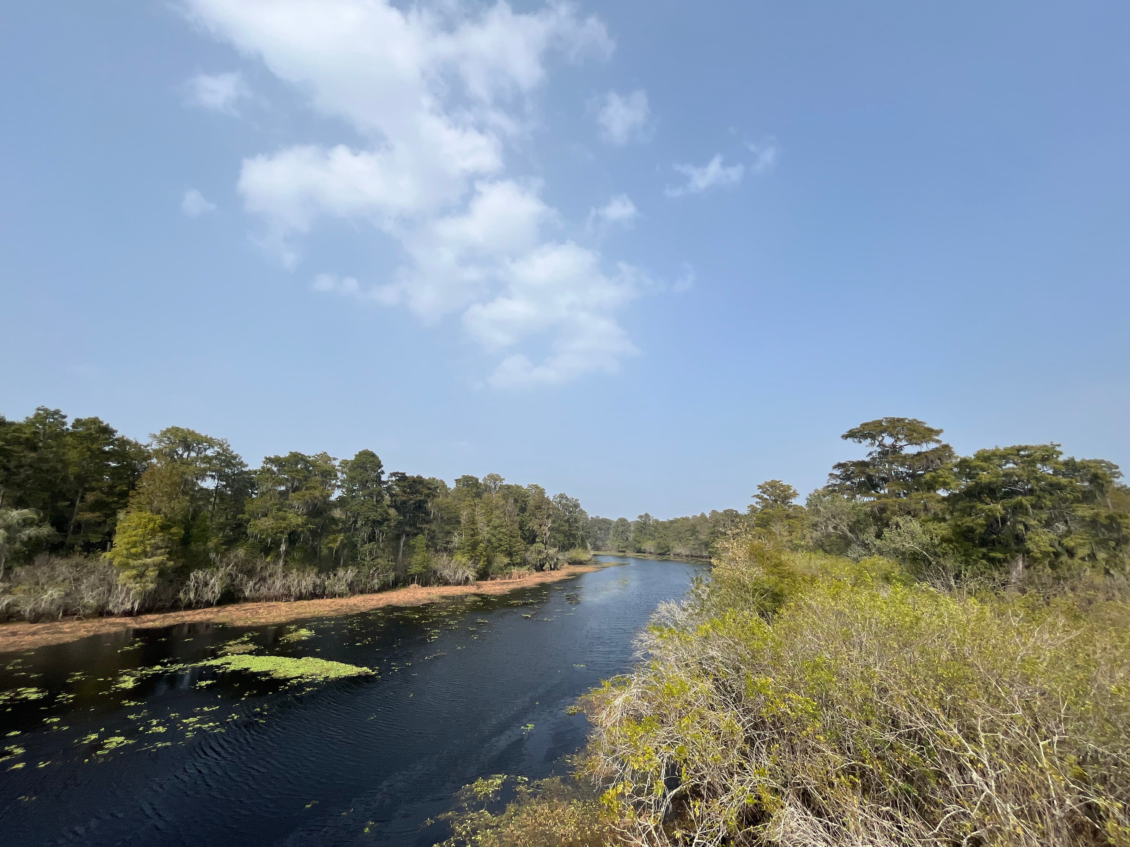 Edward Medard Reservoir, Plant City: The Drawdown That Fed the Food Banks