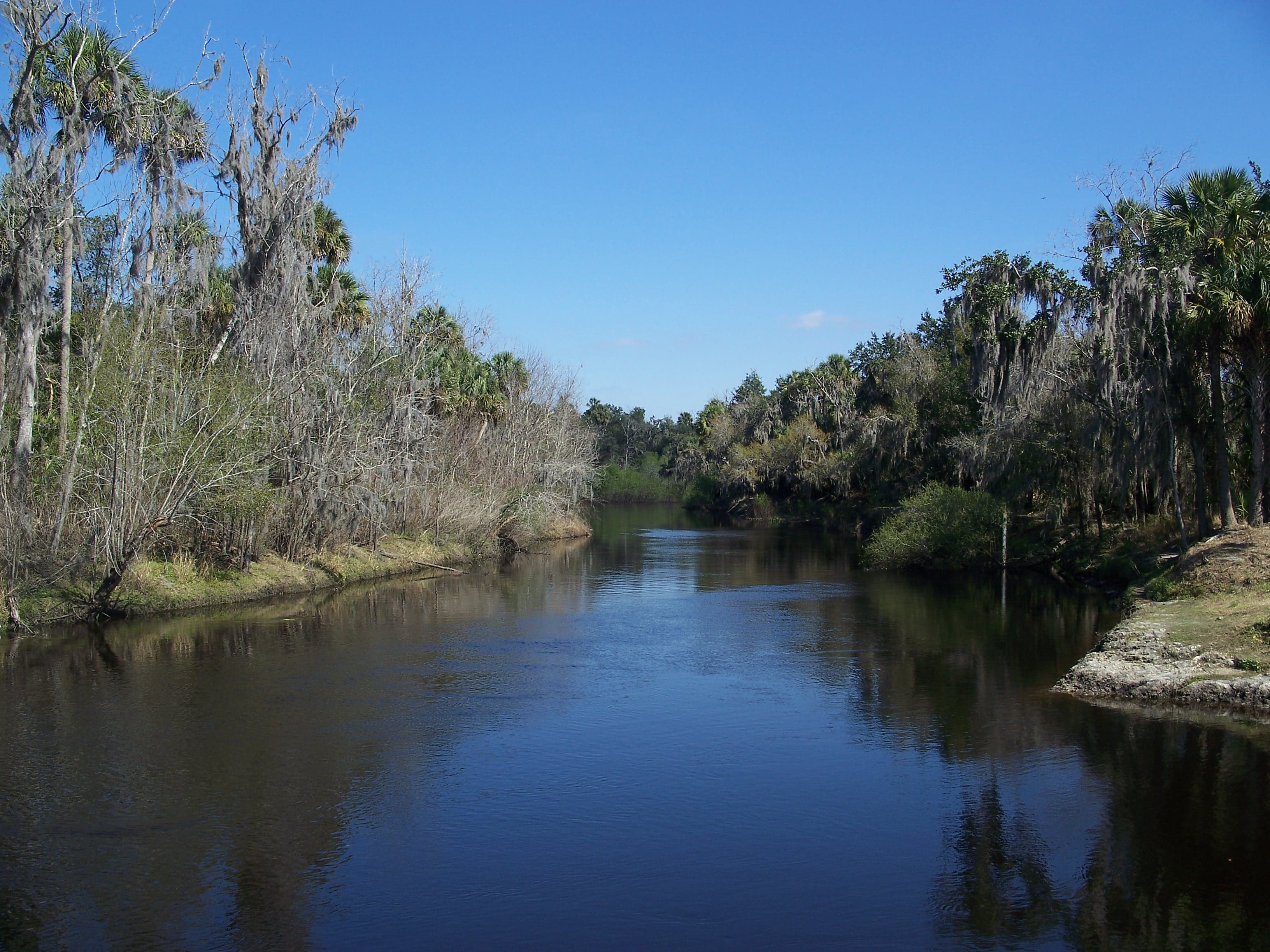 Hardee Lakes, Bowling Green: The Lake That Stayed Closed Until the Fish Grew