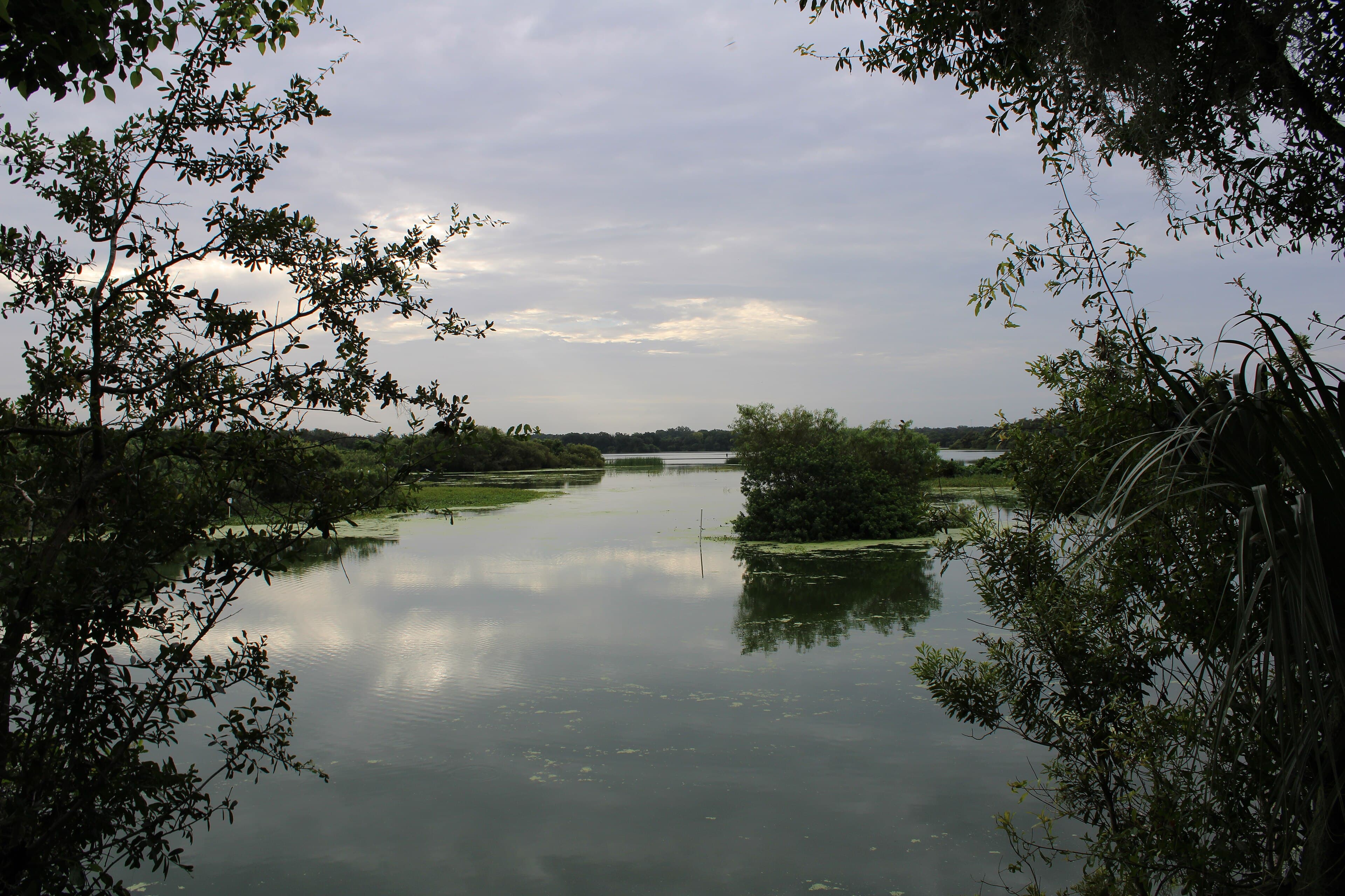 Edward Medard Reservoir, Plant City: The Mine That Became the Park