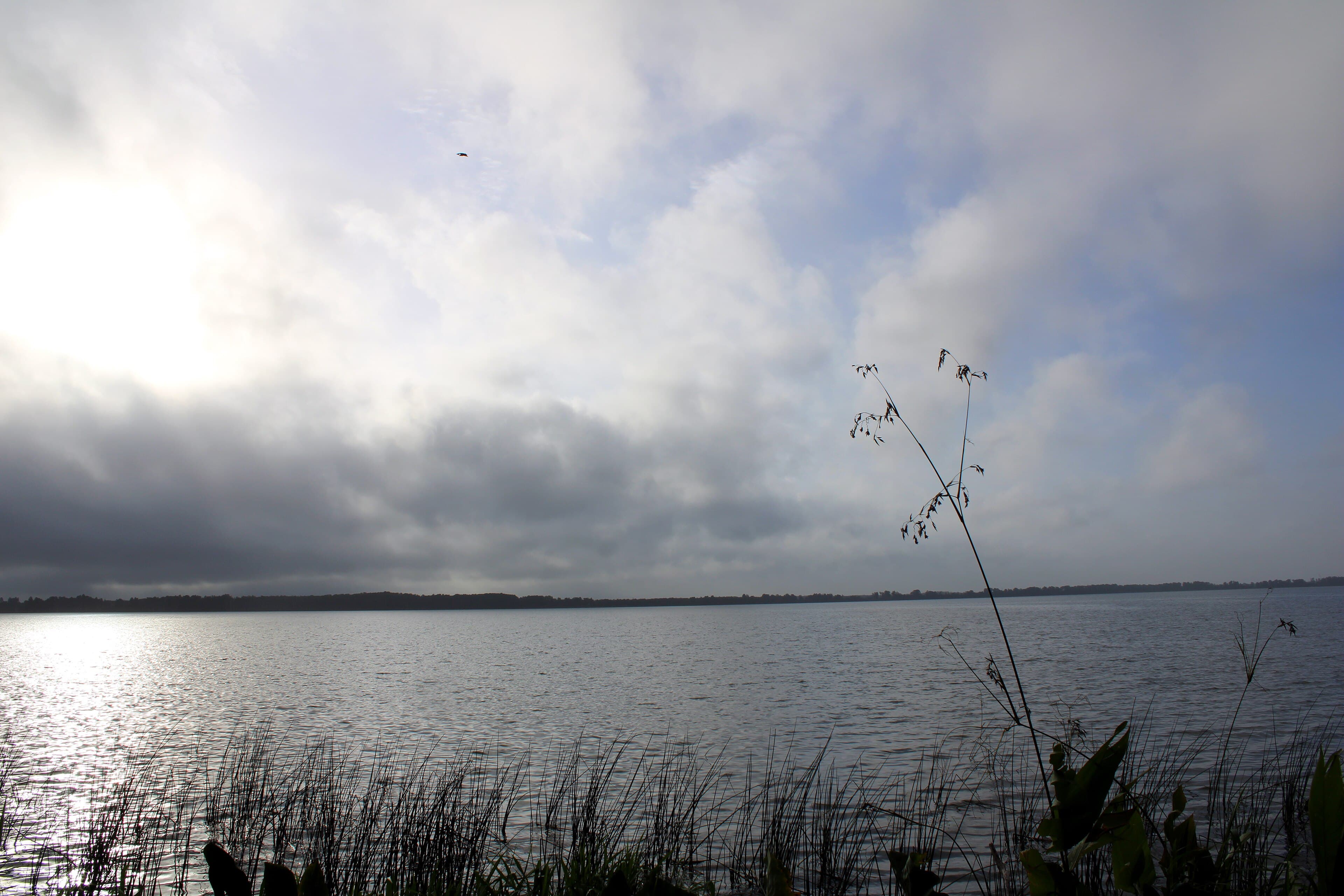 Lake Hancock Is Held a Foot and a Half Higher for the Peace River