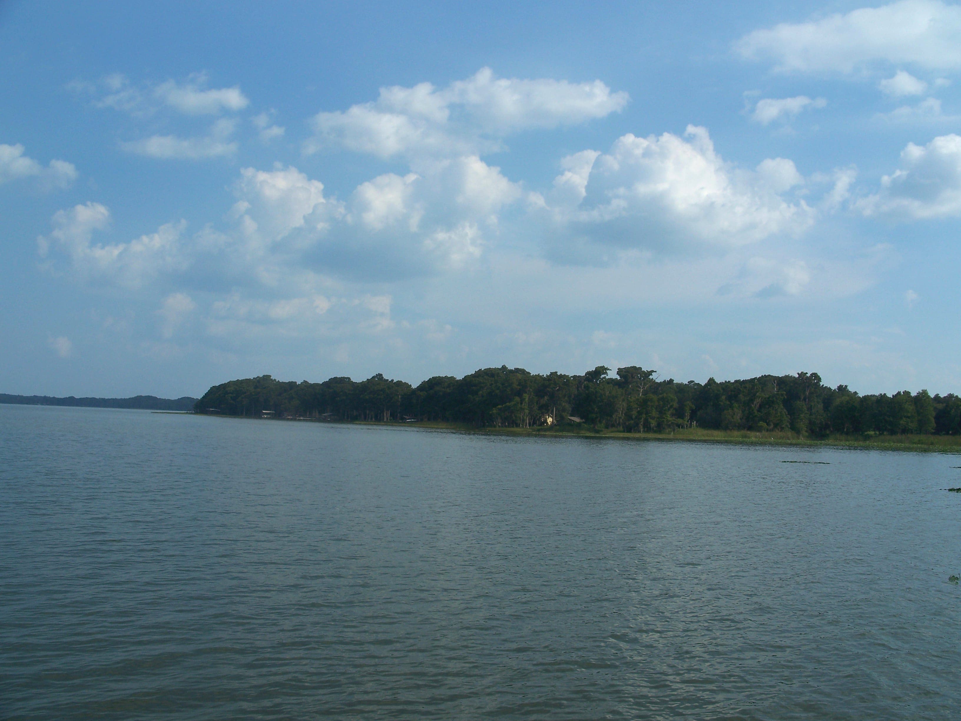 Lake Harris, Tavares: 36 Pounds in a Day