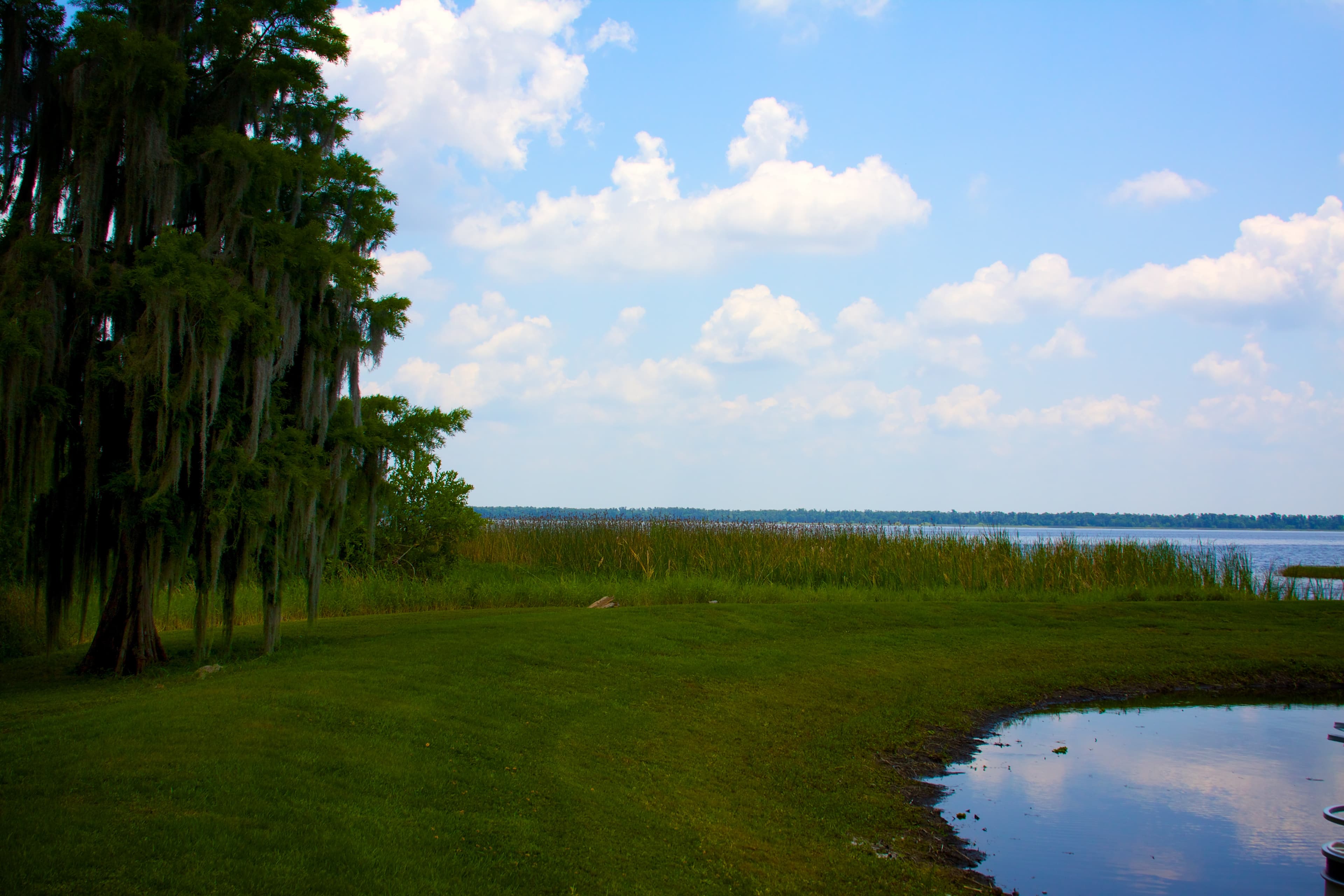 Lake Hatchineha, Kenansville: The Big Lake You Could Almost Walk Across