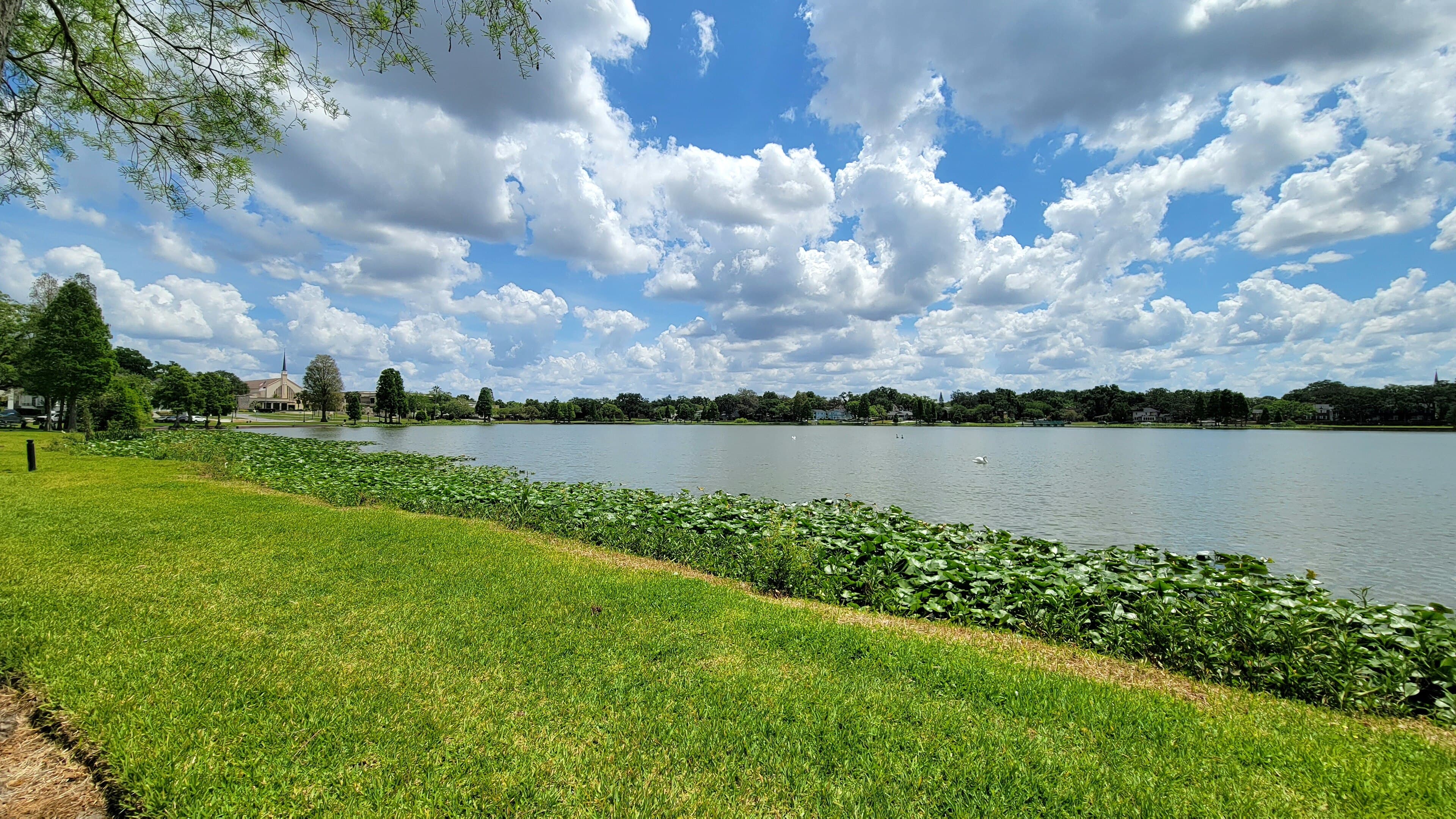 Lake Hollingsworth, Lakeland: The Three-Mile Loop That Made a National List