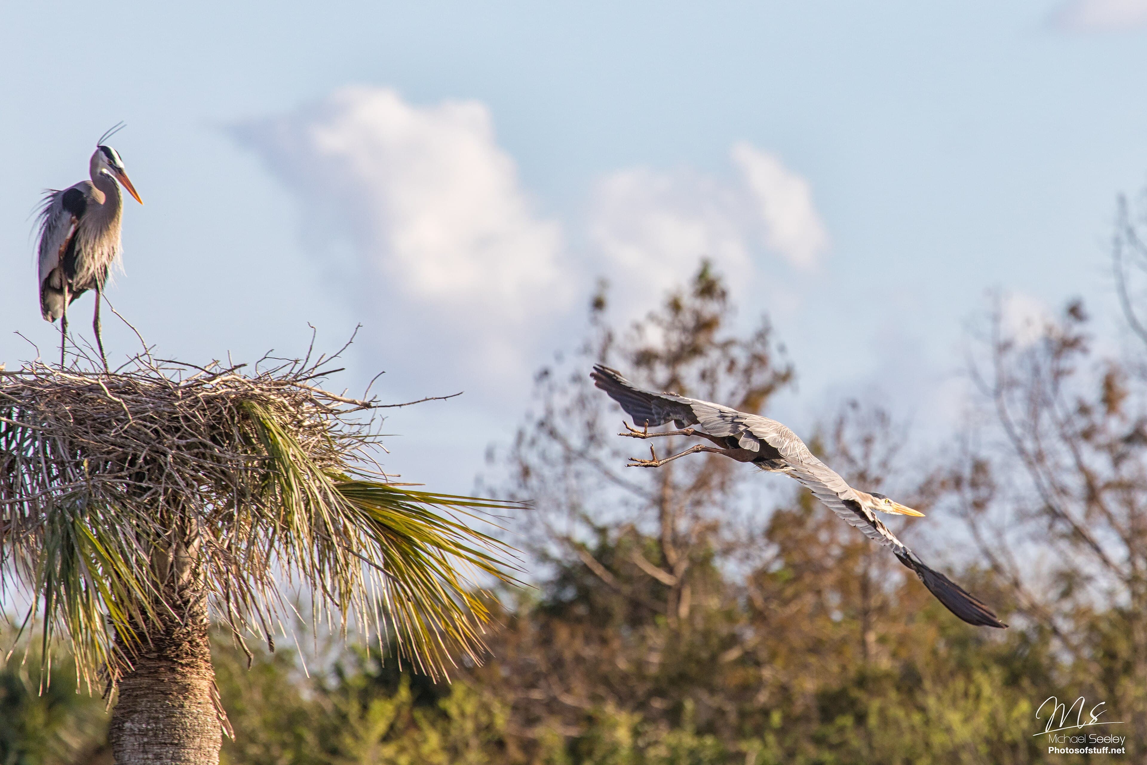 Lake John, Lakeland: The Lake a Dragline Left Behind