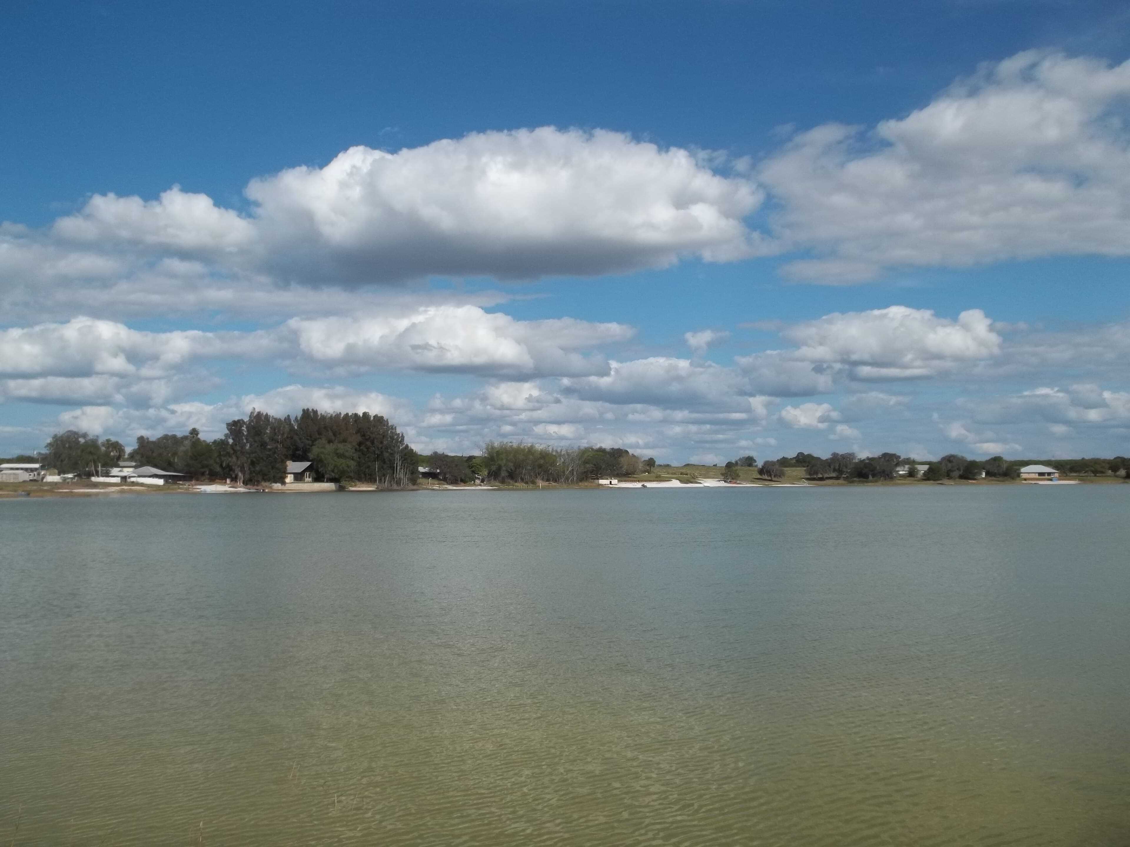 Lake June-in-Winter, Lake Placid: The Bird That Lives Only on the Sand