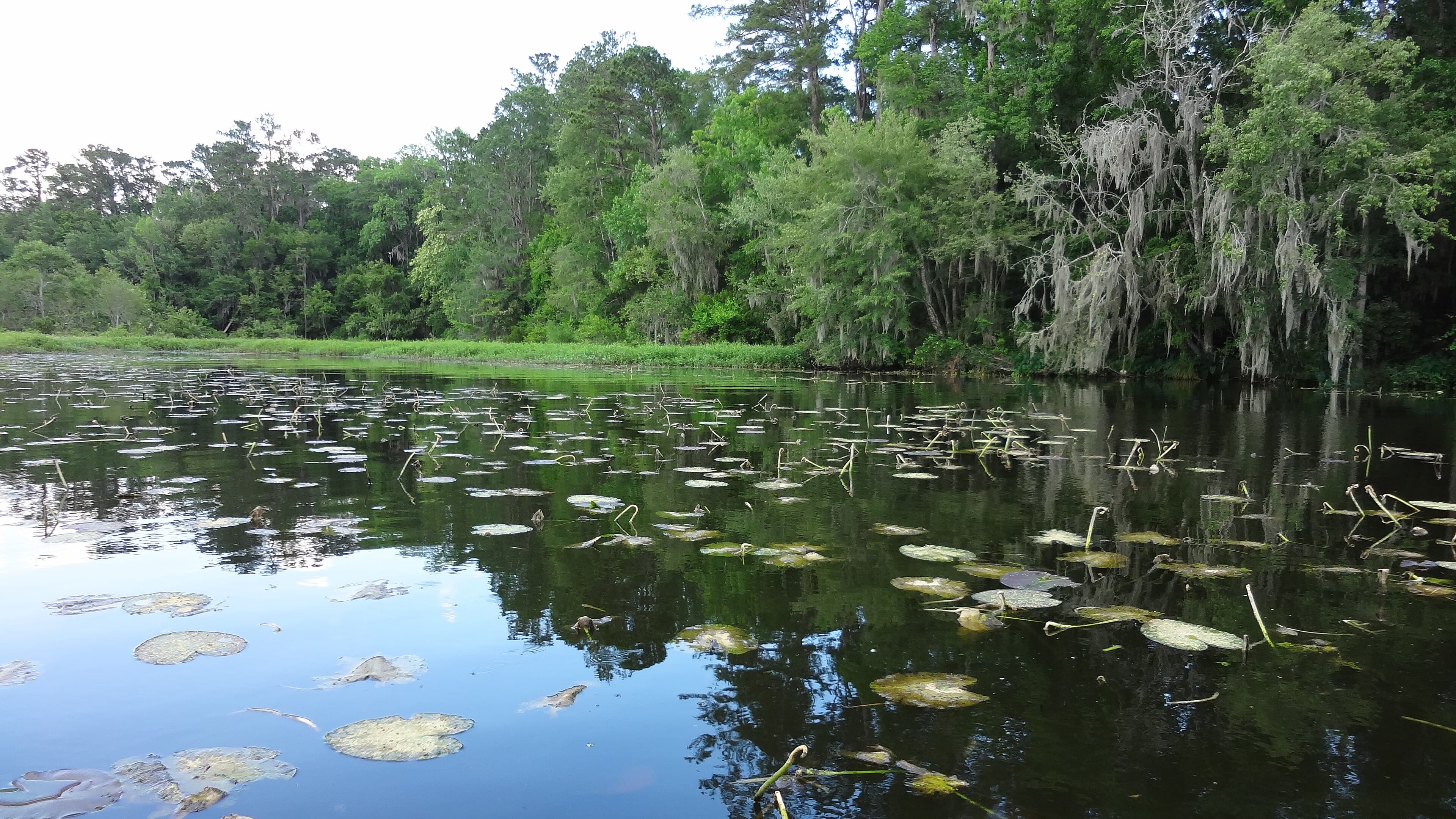 Little Lake Harris, Howey-in-the-Hills: The First Citrus Juice Plant in Florida