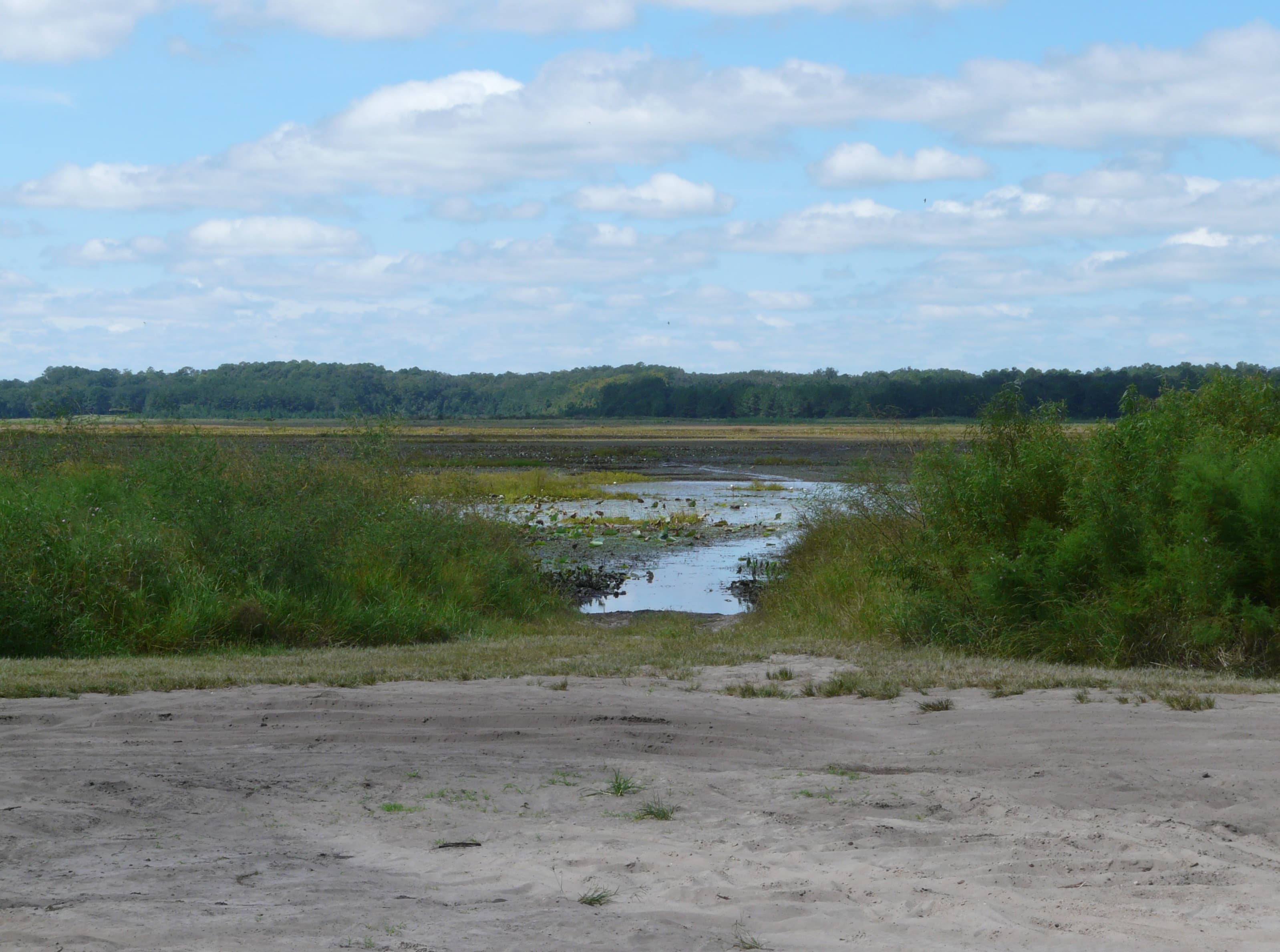 Lake Lowery, Polk County: The County Owns Shoreline It Can't Reach