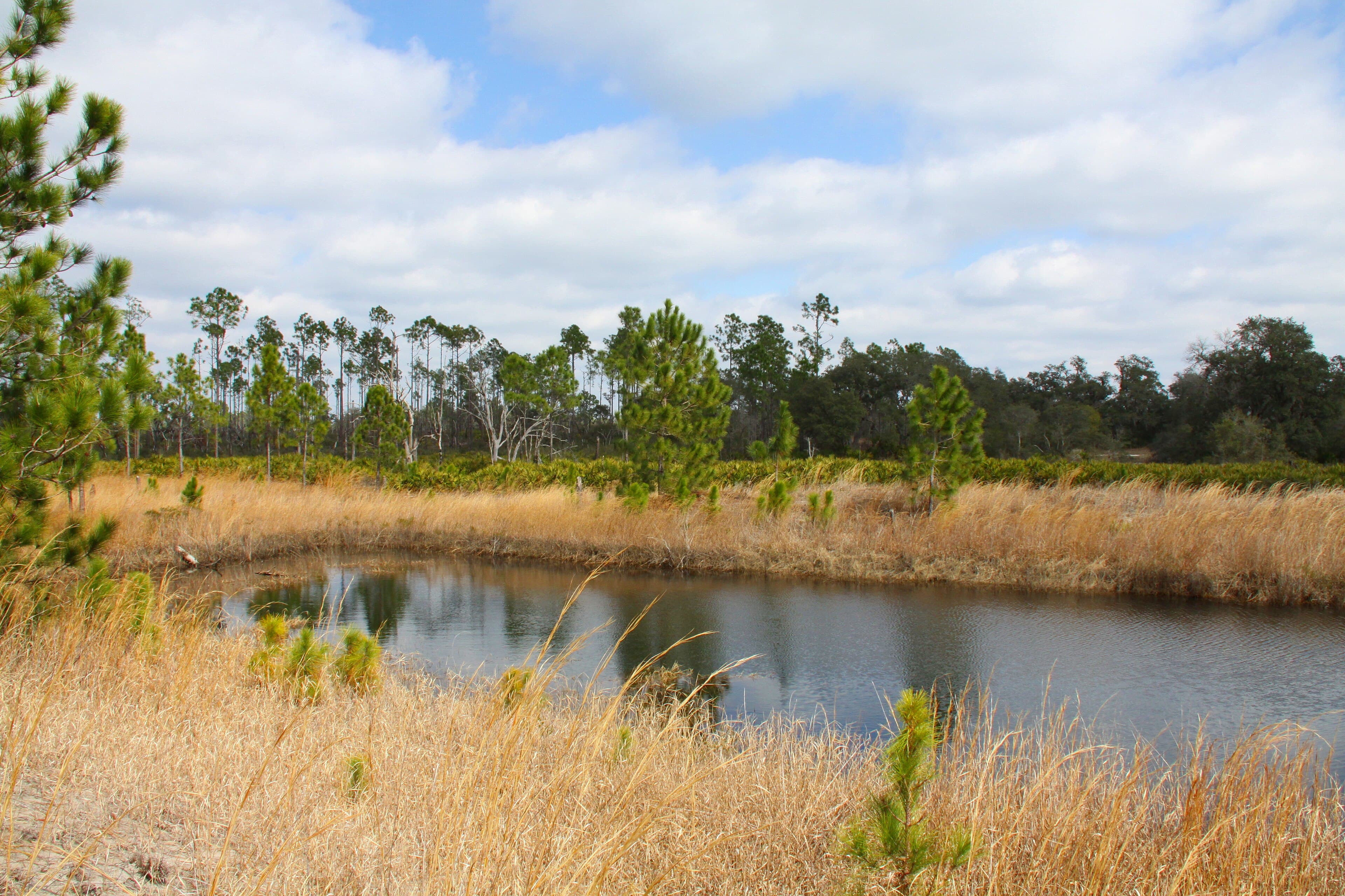 Lake May Holds Almost as Much Muck as Water
