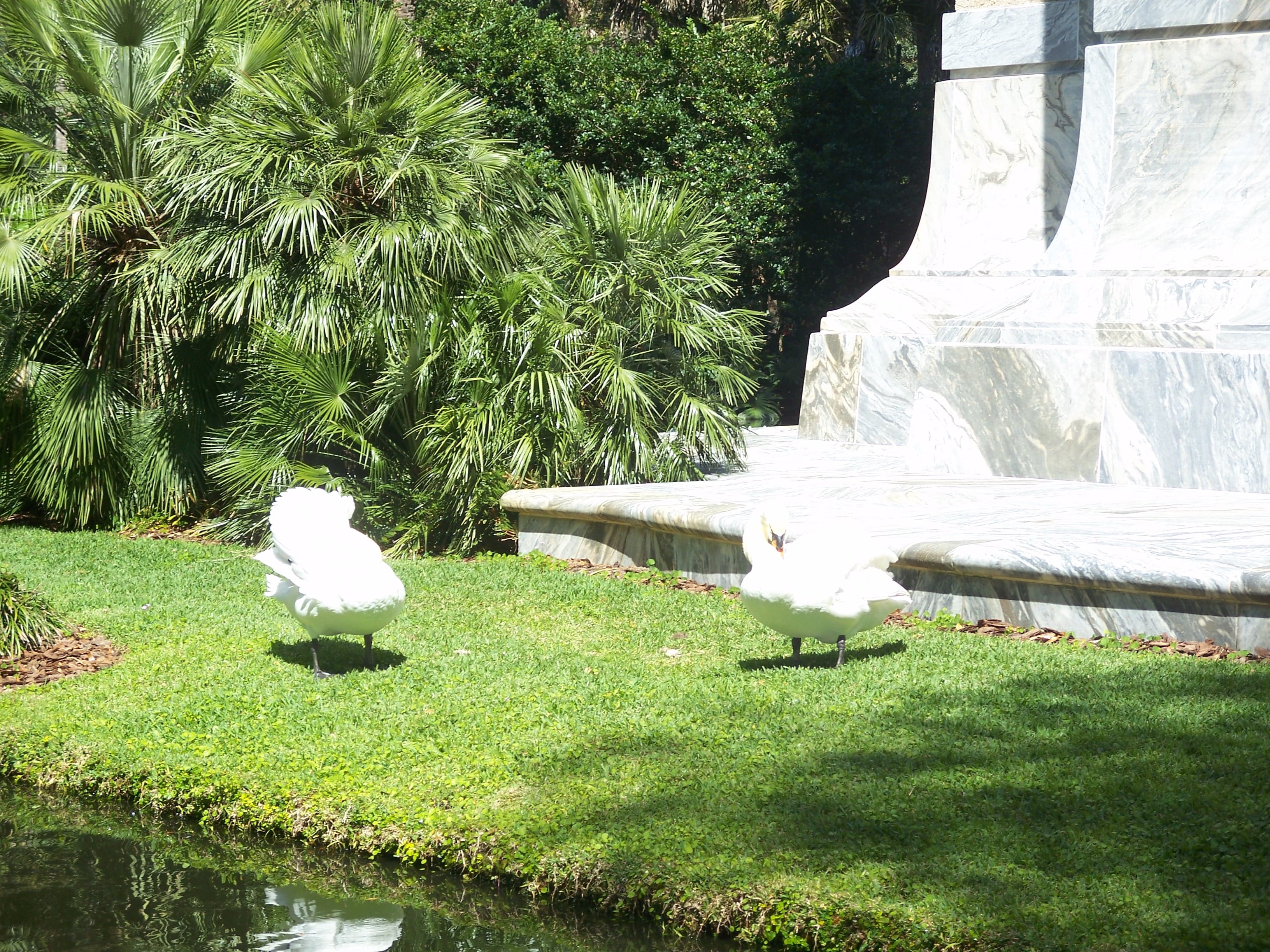 Mountain Lake, Lake Wales: The Winter Home That Led to Bok Tower