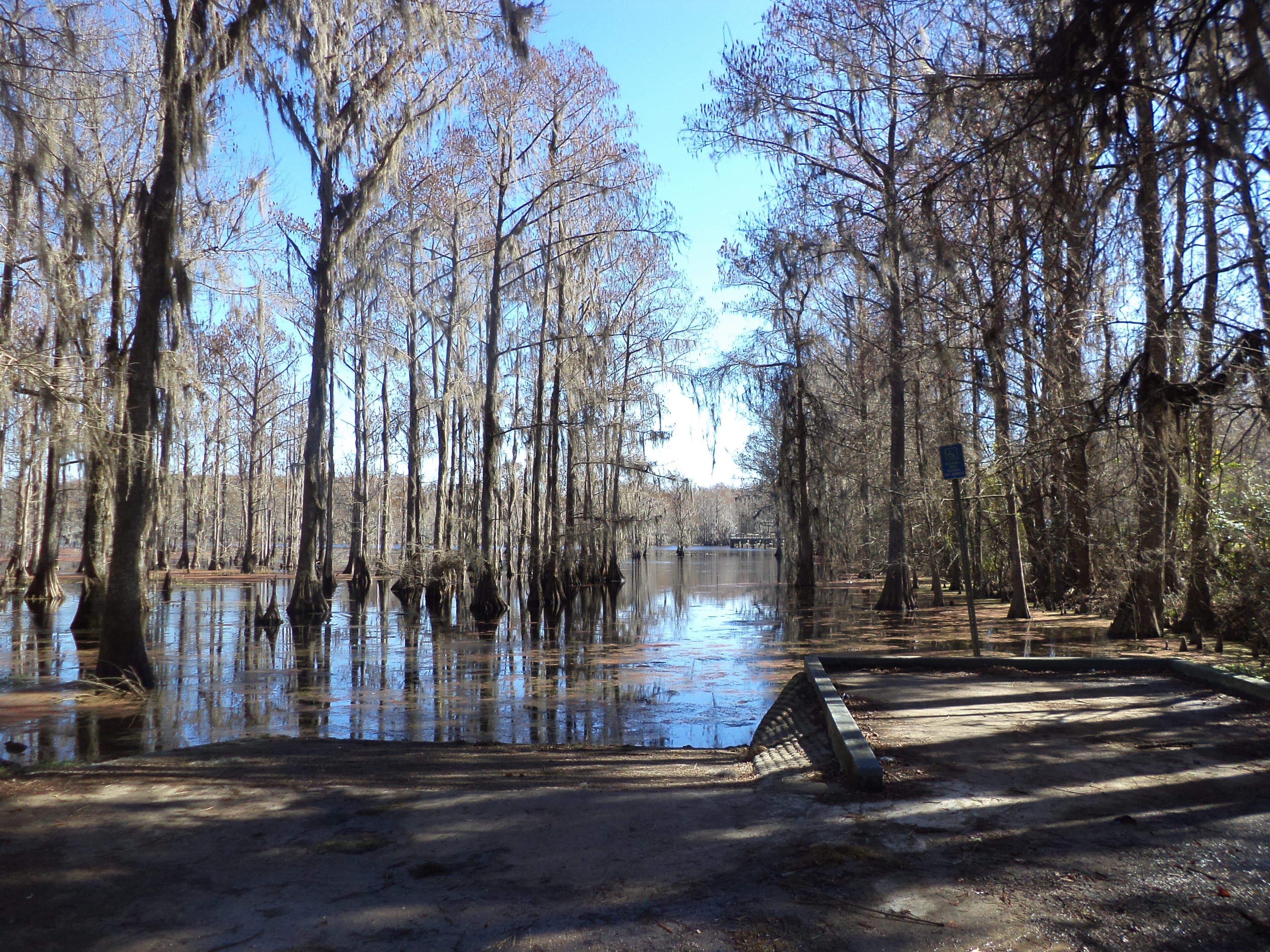 Lake Otis, Winter Haven: The Two Parking Spaces That Unlocked the Hydrilla Money