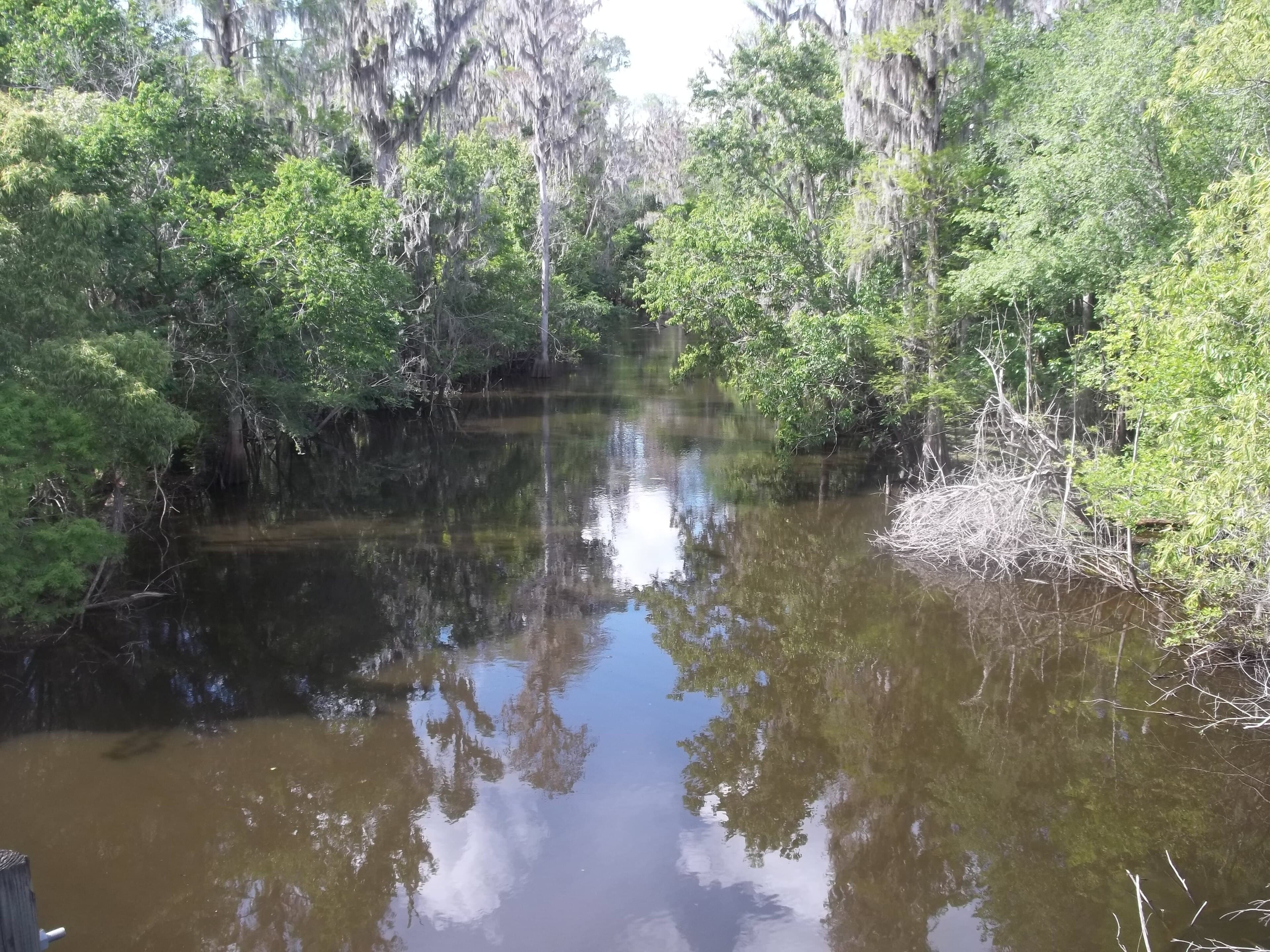 Peace River, Fort Meade: The Thirteen Miles Where the River Drains Into the Ground