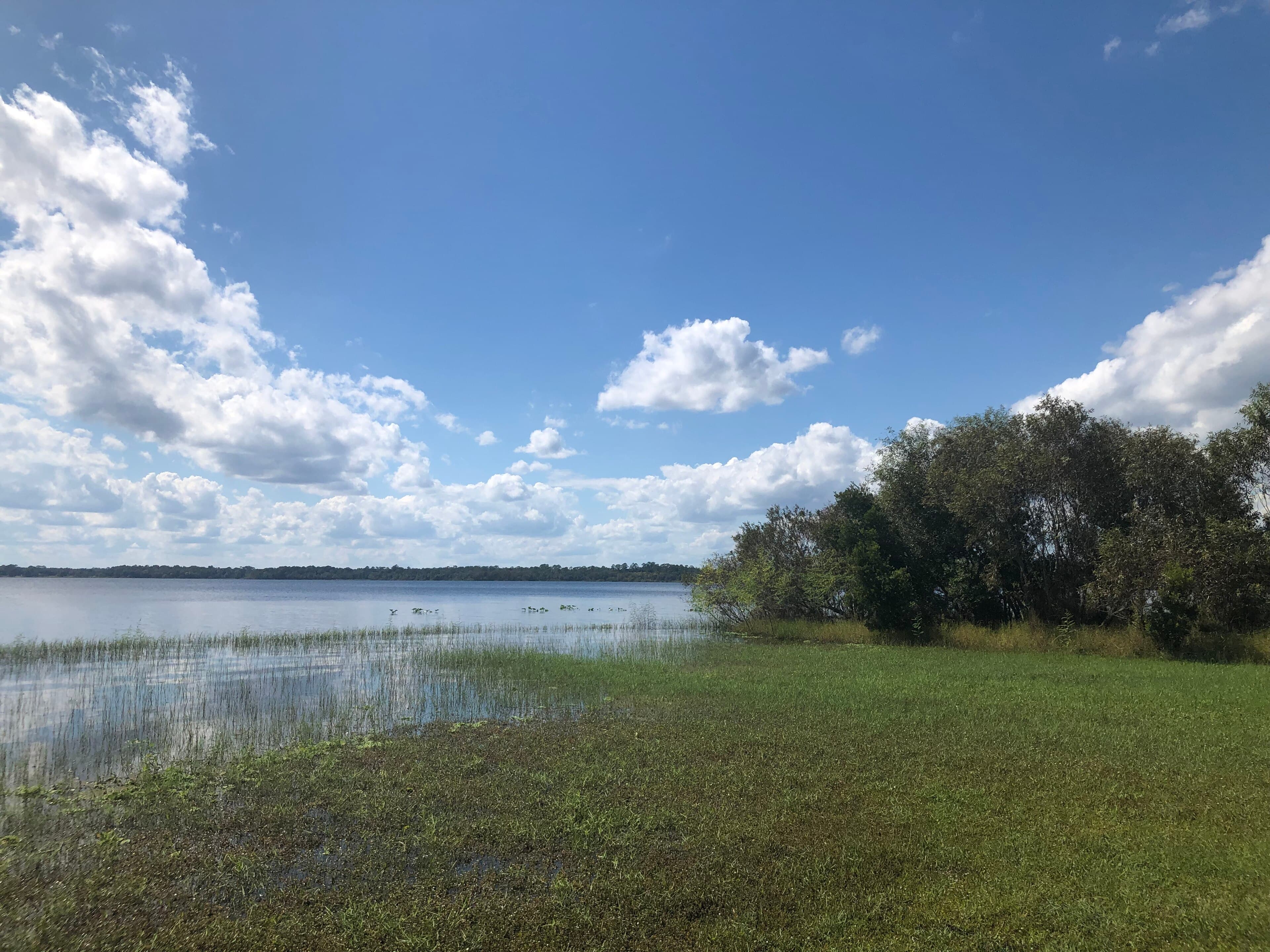 Saddlebag Lake, Lake Wales: The Five Months of Pumping It Took to Get the Water Out