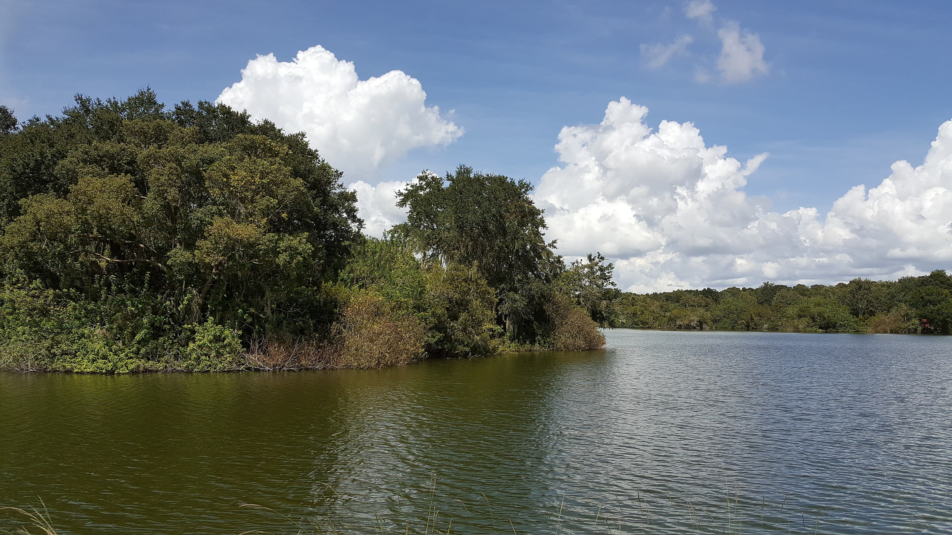Lake Smart, Winter Haven: The Round Lake on the Ten-Lake Run