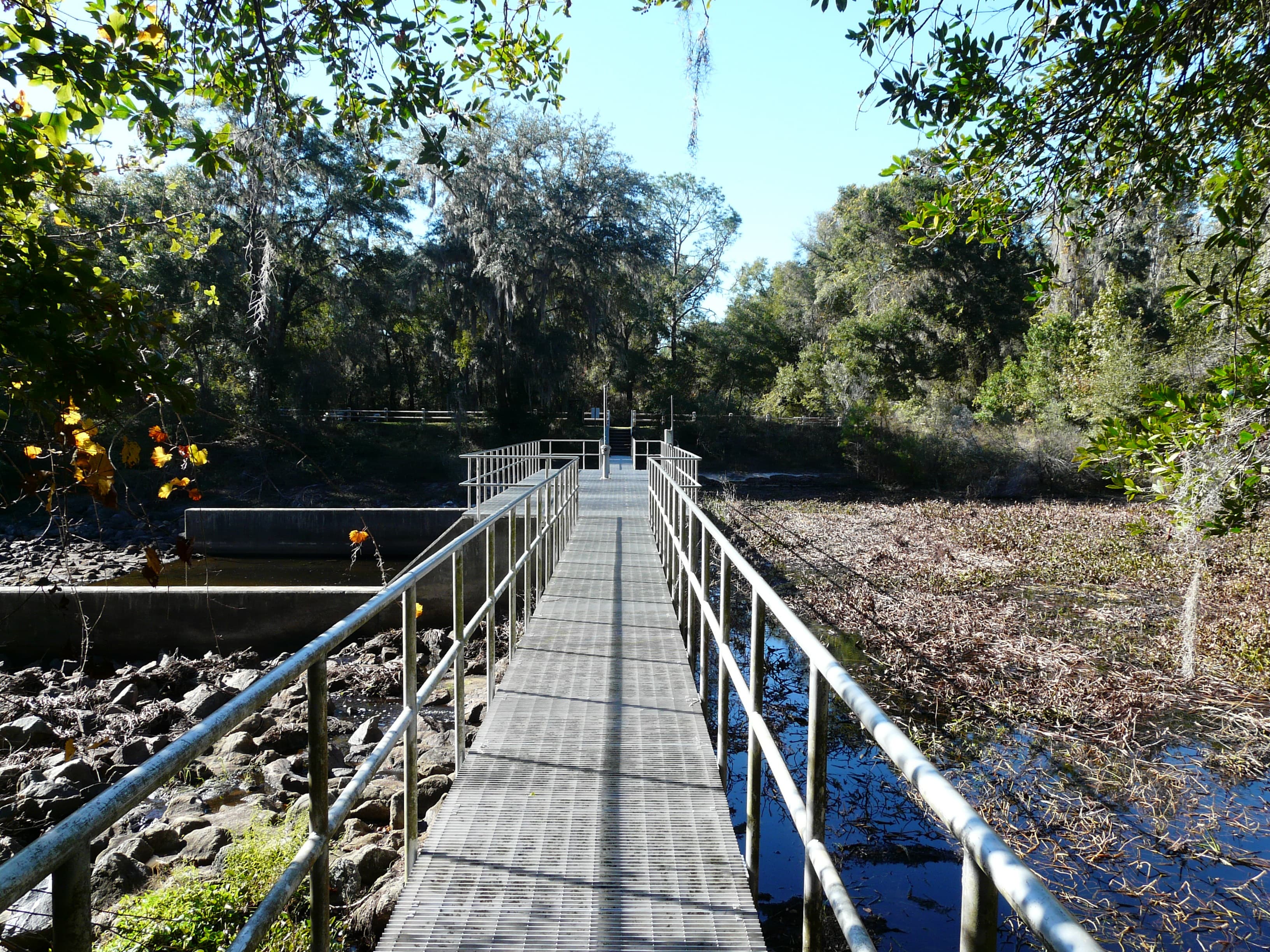 Lake Whistler, Auburndale: The Dam on This Shore Belongs to the Lake Next Door