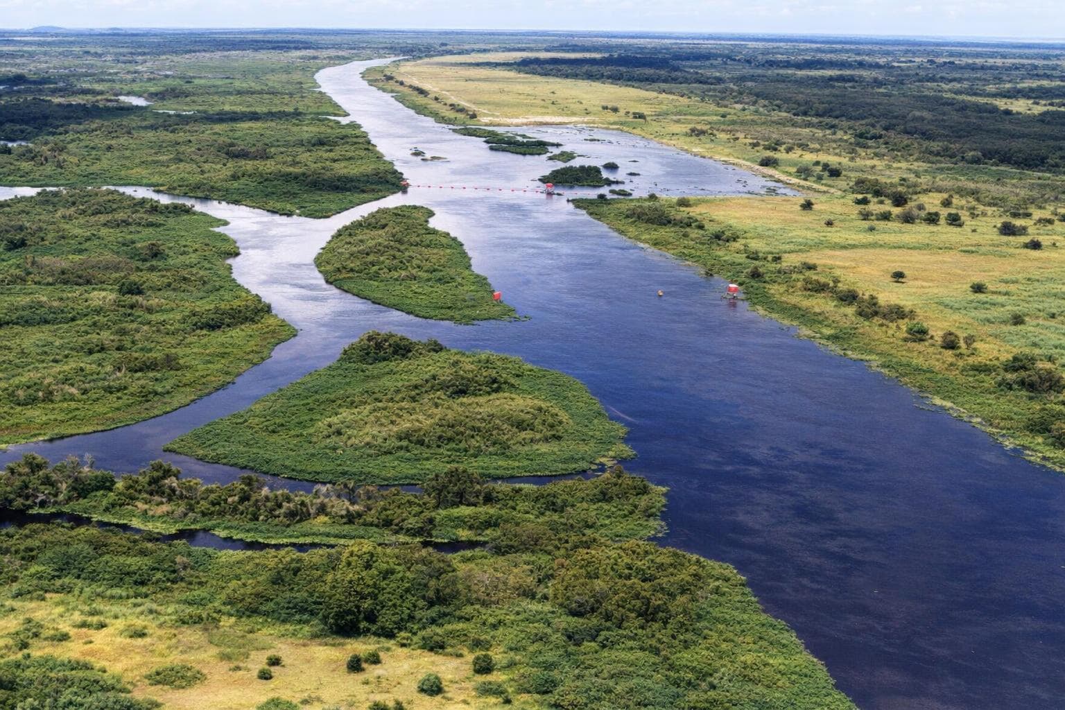 Four Million Acres at Twenty-Five Cents