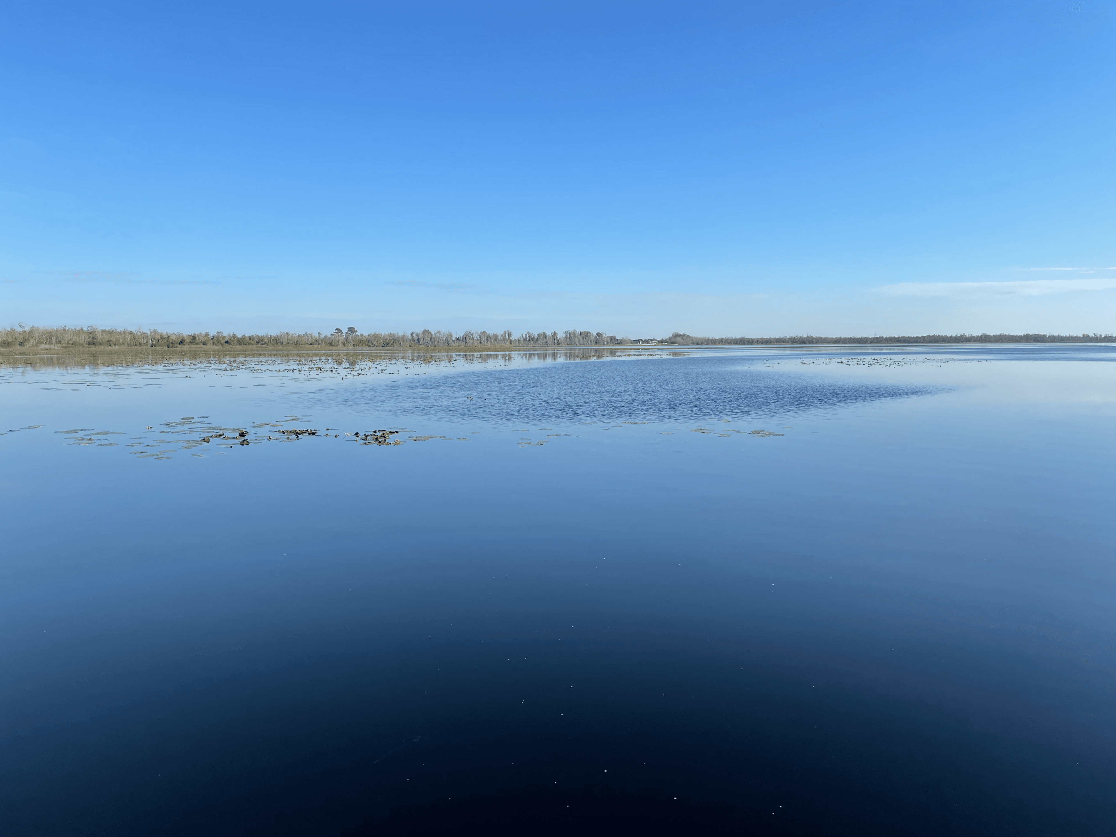 Williams Team Wins at Panasoffkee; Driest Year on Record Drops Lake Levels Across Central Florida