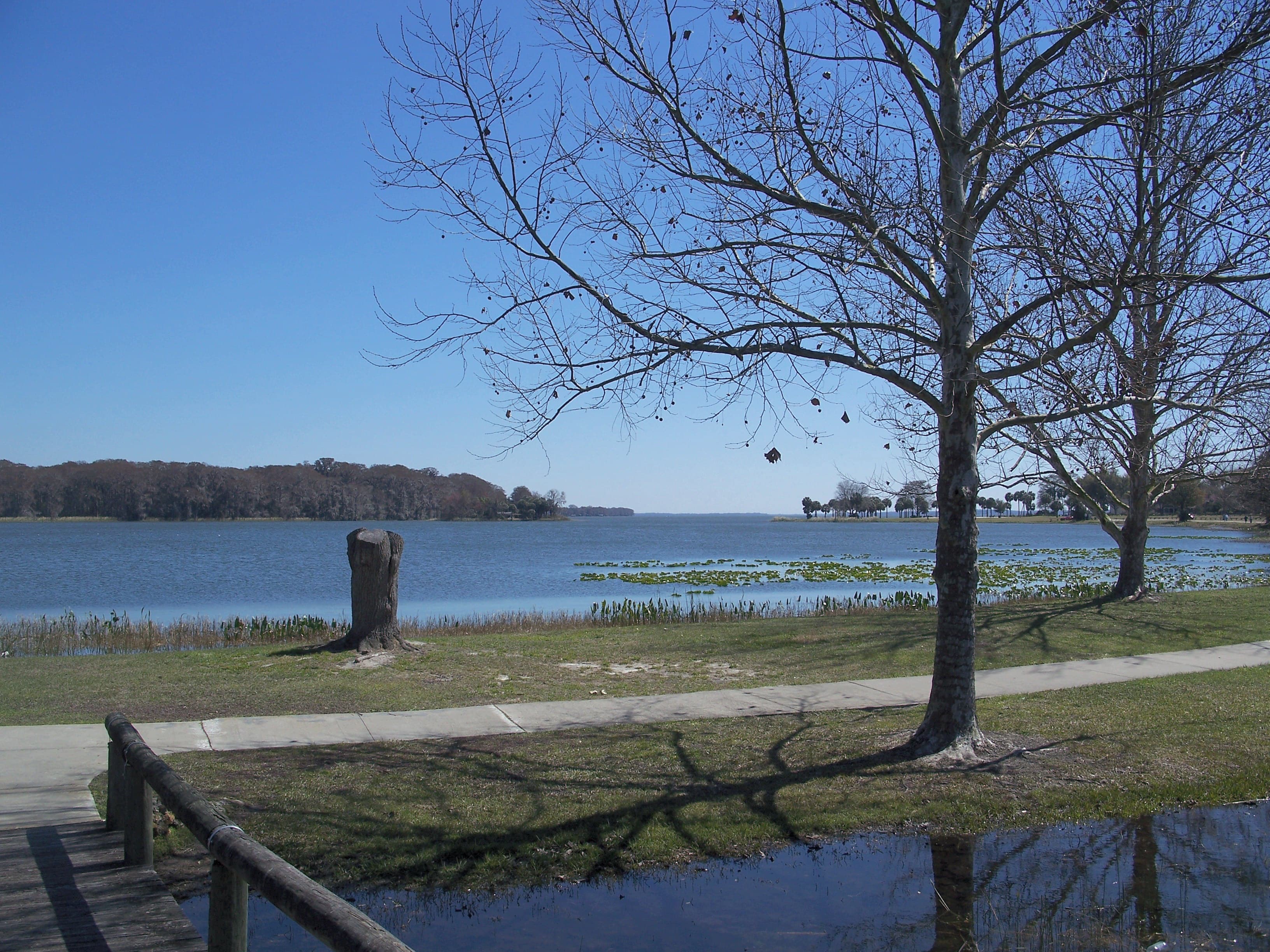 Lake Wailes Minimum Levels Before the Board Oct. 27; Algae Alert on Lake Thonotosassa