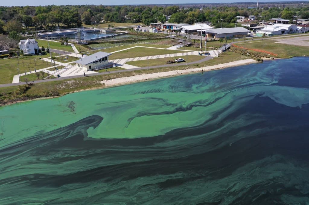 Lake Minneola, Clermont: The Lake That Florida Tested First