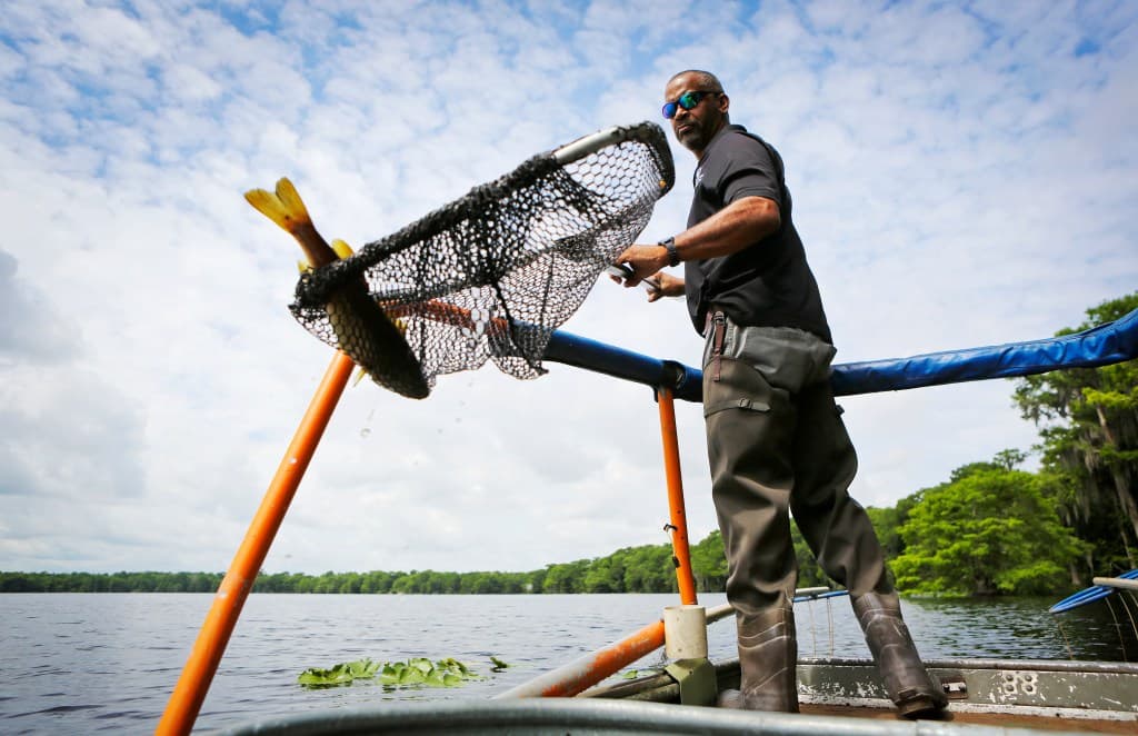 Mud Lake, Polk City: The Lake the Record Doesn't Remember