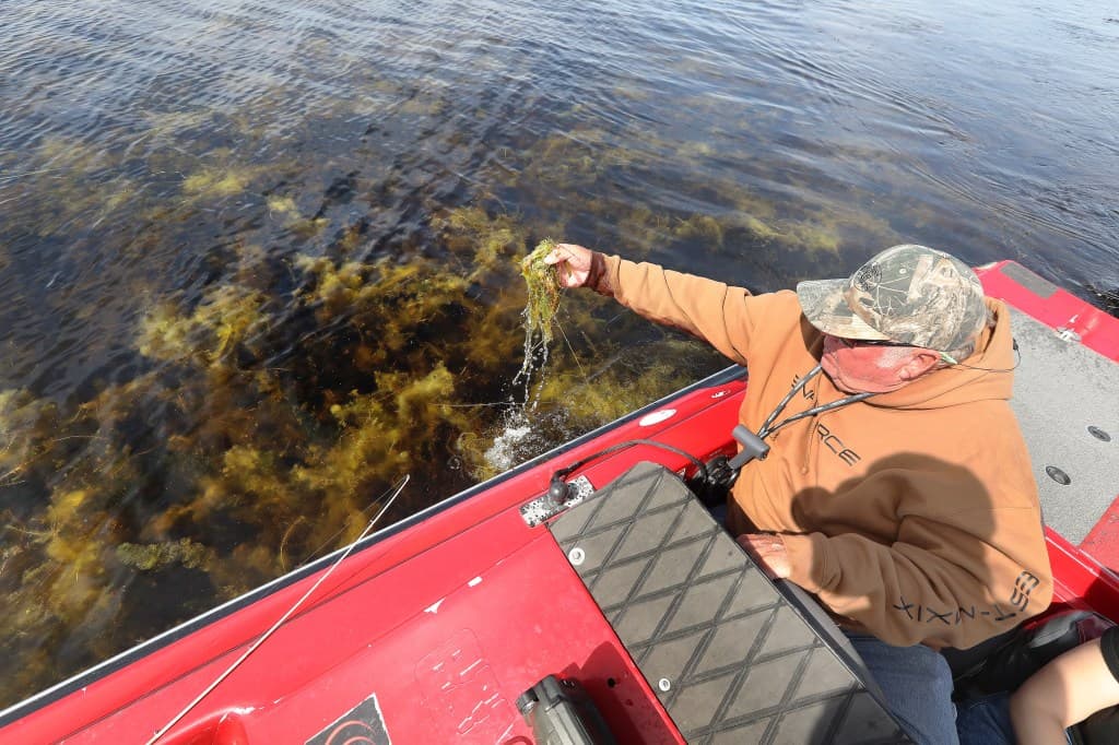 Lake Tohopekaliga, Kissimmee: The Lake That Rewrote the Rules of Restoration